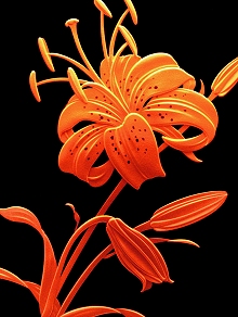 Carved Glass Lily